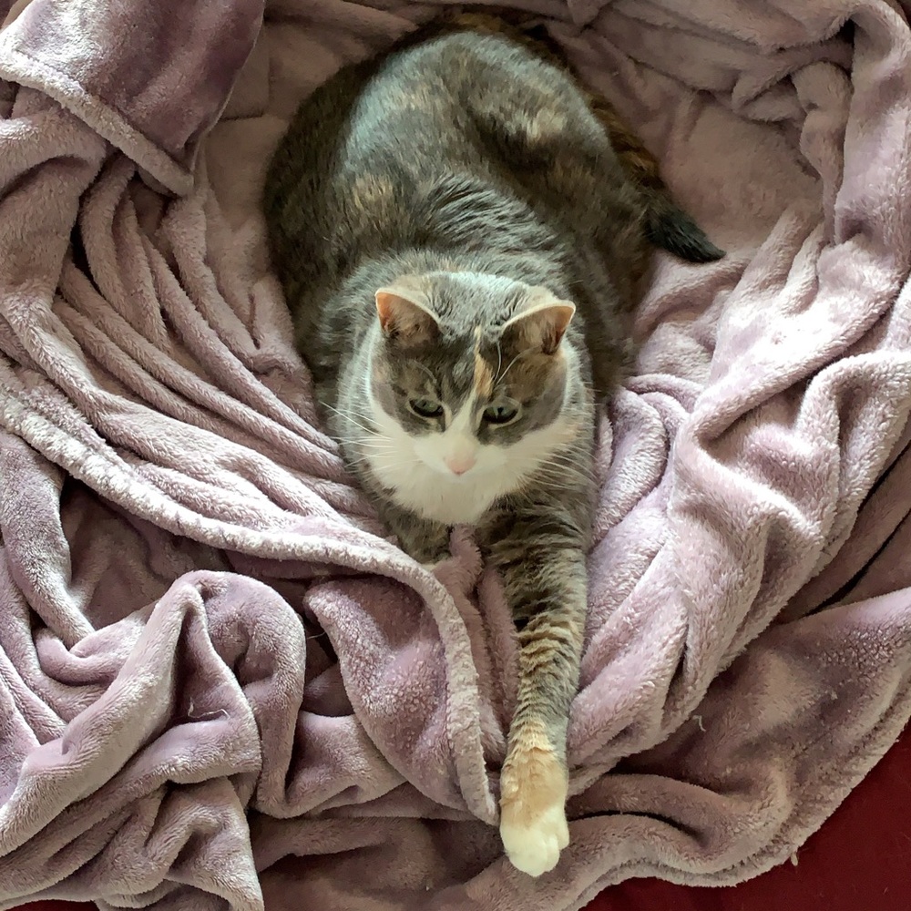 Meet your Posher, Poppy